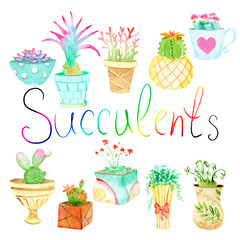 watercolor set of plants - succulents in pots