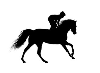 Fototapeta na wymiar horse racing jumping jockey isolated on white background