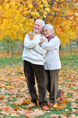Fototapeta premium Portrait of happy senior woman and man in park