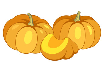 Orange pumpkins vector illustration isolated on white background.
