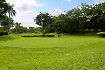 Obraz premium Landscape of a green golf field with trees and a bright blue sky