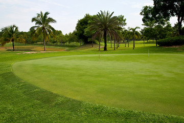 landscape of a green golf field with trees and a bright blue sky