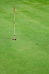 Obraz premium Golf hole in a green grass field background