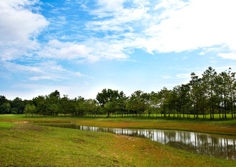 Fototapeta na wymiar Green golf field with lake