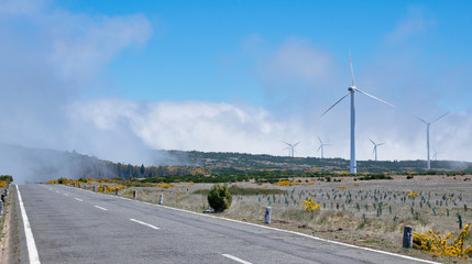 Wind turbines (Wind electricity power plants) on Paul da Serra plain on sunny day Madeira island, Portugal 