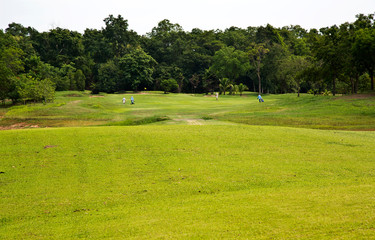 Fototapeta na wymiar Green grass on a golf field