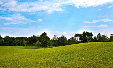 Green golf field