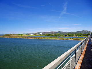 bridge over the river