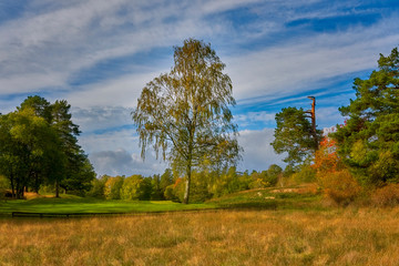 Fototapeta premium Sweden, Stockholm, autumn in the Bagarmossen park