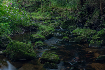 Skrivan color creek near Favorit castle in summer color sunny day