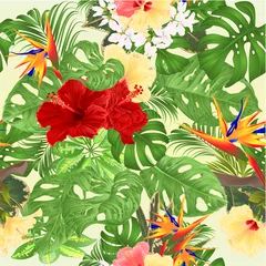 Poster Naadloze textuur tropische achtergrond met tropische bloemen roze en gele hibiscus en Strelitzia en Sansevieria palm, philodendron en ficus vintage vectorillustratie © zdenat5