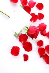 Red Rose & Petals with blank paper