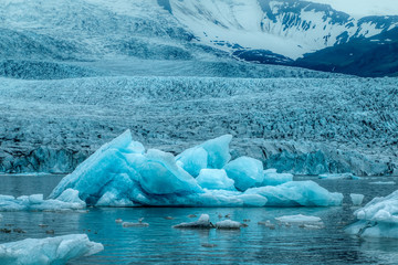 Iceberg and glacier