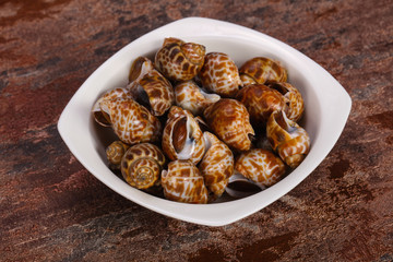 Tasty mollusk - spotted Babylon in the bowl
