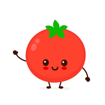 Happy Cute Smiling Tomato. Vector 