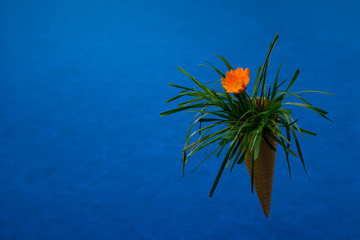 art pots from waffle cone