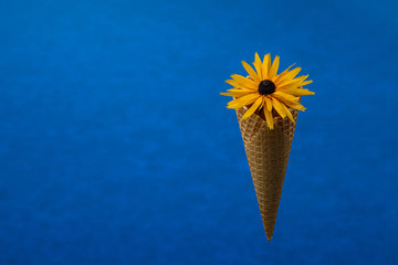 garden flower sugar waffle rozeke