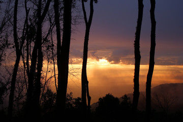 Beautiful sunrise in mountains with trees on a foreground. Doi Suthep, Thailand