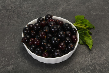 Fresh ripe sweet black currant
