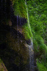 Beautiful moss overgrown Waterfalls - Die Schleierfälle in Wildsteig/Bad Bayersoien