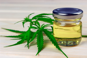 glass bottle with hemp oil among hemp leaves, light wooden background	