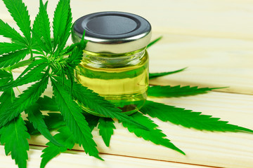 Fototapeta premium glass bottle with hemp oil among hemp leaves, light wooden background 