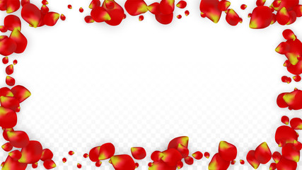 Vector Realistic Red Rose Petals Falling on Transparent Background.  Romantic Flowers Illustration. Flying Petals. Sakura Spa Design. Blossom Confetti. Design Elements for Wedding Decoration.