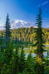 Overlooking a lake and a forest of pine trees with Mt. Rainier looming in the distance at Mt. Rainier National Park.