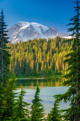 Overlooking a lake and a forest of pine trees with Mt. Rainier looming in the distance at Mt. Rainier National Park.