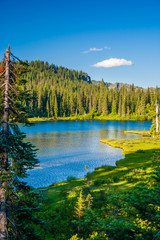 Overlooking a pristine blue lake with and pine trees with a lone puffy white cloud on a blue sky...