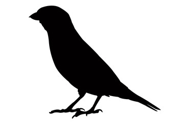 a sparrow body silhouette vector