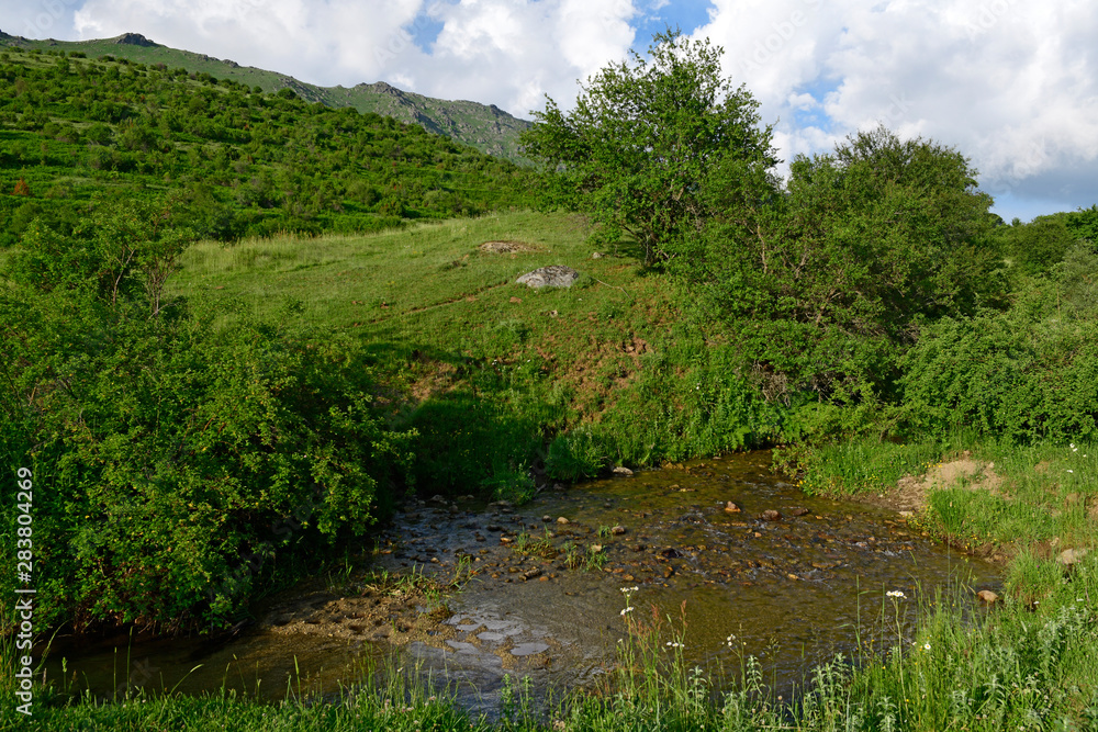 Wall mural Naturlandschaft des Mt. Varnous im Nationalpark Prespa/Griechenland - wild nature of Mt. Varnous in prespa national park/Greece)