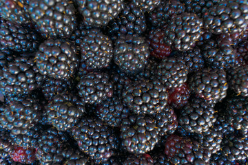 Fresh ripe blackberries as background, top view.