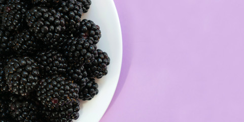 Fresh blackberry in a plate isolated on a purple background. Top view. Copy space.