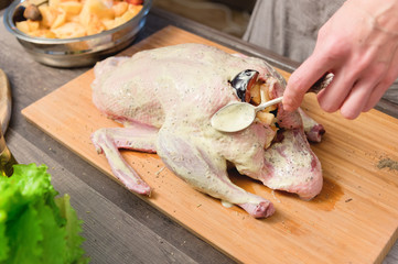Close-up of female hands preparing duck or goose for baking. White carrot dressing with mayonnaise. Christmas dish duck goose with apples