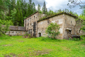 Die Ruine eines Bunkers steht inmitten einer Waldlandschaft