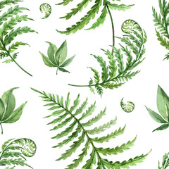 fern green leaf pattern, watercolor seamless pattern on white background