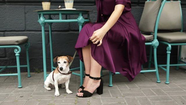 Woamn having lunch in street cafe with pet. Dog sitting under the table. Windy weather. The woman is holding dress. Video footage. Live breathing camera.
