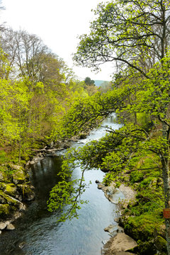 Deveron River with rocks and forest on the bank, Huntly, Scotland, UK