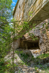 Verfallener Bunker in einem Wald