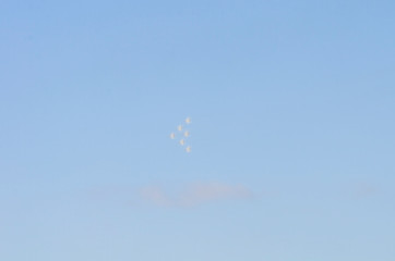 Russian airplanes aerobatic team in the sky