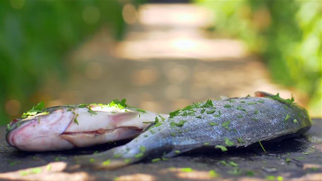  Gilt-head bream dorade grilled nature