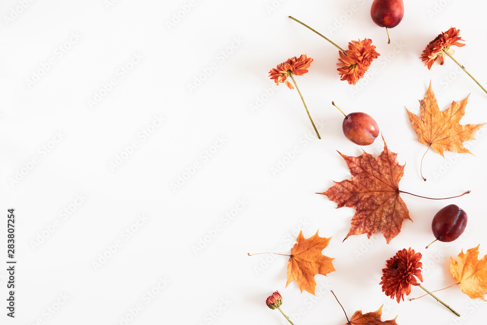 Wall mural Autumn creative composition. Flowers, plum, fruit, leaves on white background. Fall, autumn background. Thanksgiving Day concept. Flat lay, top view, copy space - Wall murals