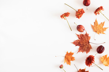 Autumn creative composition. Flowers, plum, fruit, leaves on white background. Fall, autumn background. Thanksgiving Day concept. Flat lay, top view, copy space