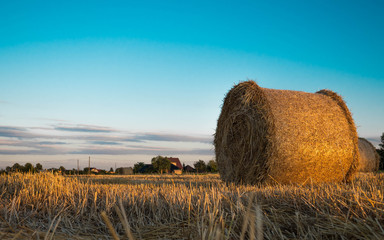 Żniwa zbóż na terenie Opola © Micha