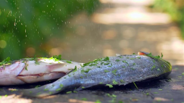  Gilt-head bream dorade grilled nature