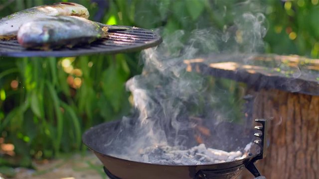  Gilt-head bream dorade grilled nature