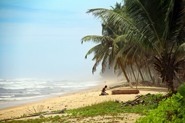 palm trees on the beach in Ghana - obrazy, fototapety, plakaty