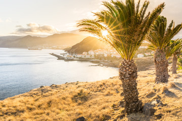 Sunset scene with palm tree leaves and sunlight with the sea, village and marina in the background
