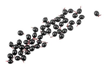 Elderberries isolated on white background, top view.